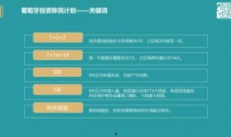 葡萄牙最新医疗爆料,最新爆料揭示惊人真相”